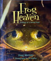 Frog Heaven cover