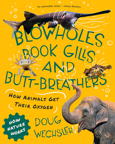Blowholes Book Gills and Butt-breathers cover